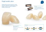 SR Vivodent S DCL / SR Orthotyp S DCL - Görsel 3