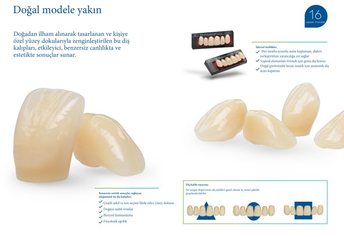 SR Vivodent S DCL / SR Orthotyp S DCL - Görsel 3