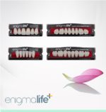 Enigmalife