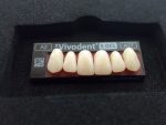 SR Vivodent S DCL / SR Orthotyp S DCL - Görsel 5