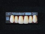 SR Vivodent S DCL / SR Orthotyp S DCL - Görsel 10