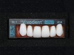 SR Vivodent S DCL / SR Orthotyp S DCL - Görsel 11
