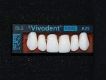 SR Vivodent S DCL / SR Orthotyp S DCL - Görsel 16
