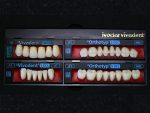 SR Vivodent S DCL / SR Orthotyp S DCL - Görsel 17