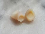 SR Vivodent S DCL / SR Orthotyp S DCL - Görsel 19