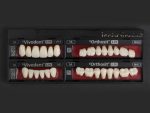 SR Vivodent S PE / SR Orthosit S PE - Görsel 8