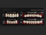 SR Vivodent S PE / SR Orthosit S PE - Görsel 12
