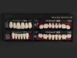 SR Vivodent S PE / SR Orthosit S PE - Görsel 11