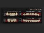 SR Vivodent S PE / SR Orthosit S PE - Görsel 9