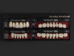 SR Vivodent S PE / SR Orthosit S PE - Görsel 13