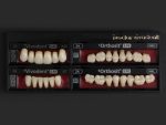 SR Vivodent S PE / SR Orthosit S PE - Görsel 14