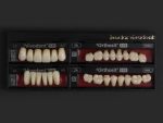 SR Vivodent S PE / SR Orthosit S PE - Görsel 15