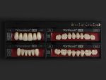 SR Vivodent S PE / SR Orthosit S PE - Görsel 16
