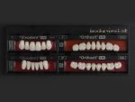 SR Vivodent S PE / SR Orthosit S PE - Görsel 17