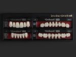 SR Vivodent S PE / SR Orthosit S PE - Görsel 19